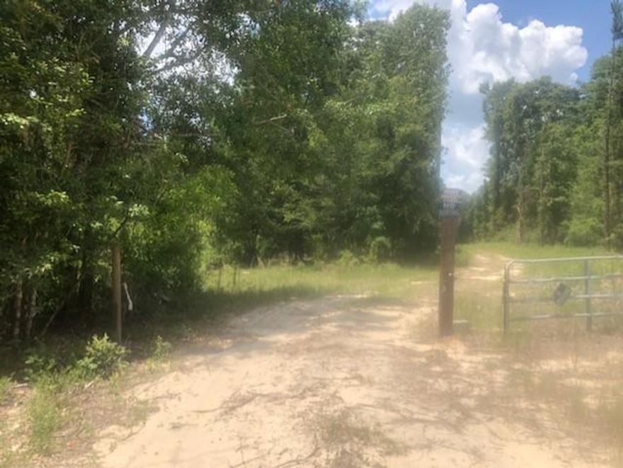 Looking for a secluded property? This is the one! This property is surrounded  by Blackwater State Forest. The property has a well and septic tank installed.  Perfect place for a camper or possibly build.
