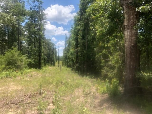 NO RECORDED SUBDIVISION - Land