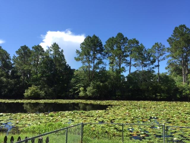 CLOVERDALE LAKE - Residential