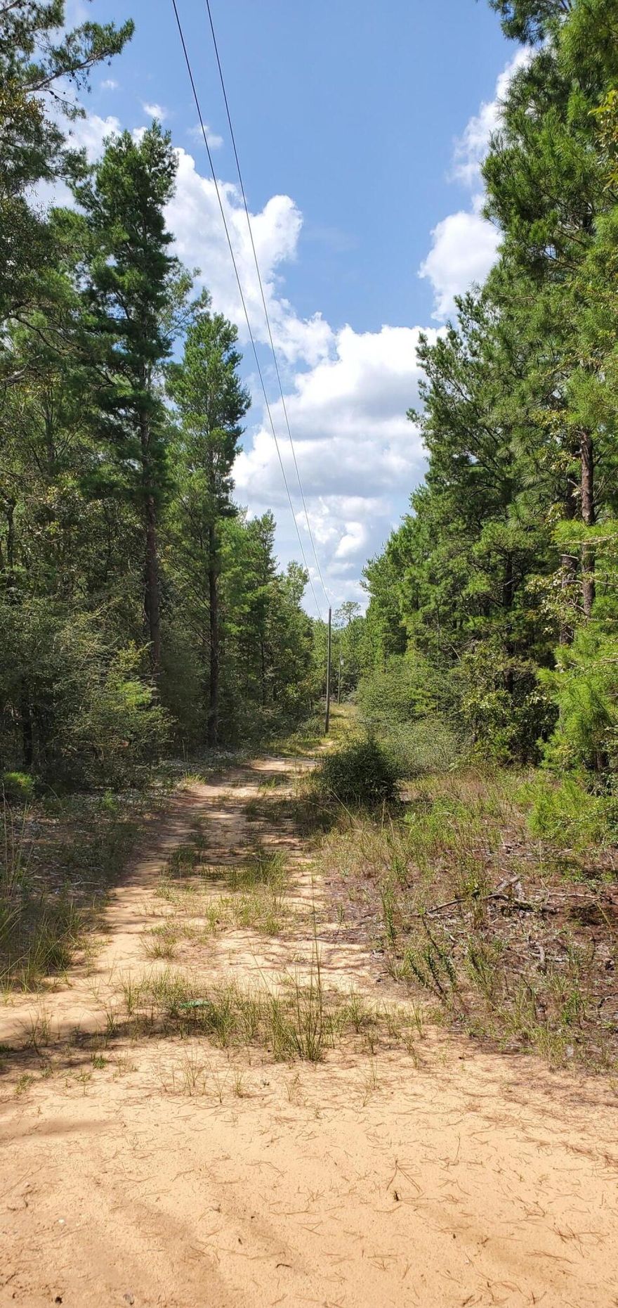 10 acres of wooded property with a lot of privacy in Crestview. Only 10 minutes from Crestview downtown, less than 5 minutes from I-10 285 exit and 45 minutes to the beautiful white sanded Destin beach!! There is an old mobile home that has no value. Utilities are believed to be in place but are not warranted by the seller. Seller has no knowledge of property. It is the buyer's responsibility to verify all important information