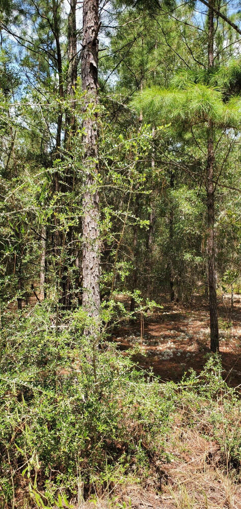 METES & BOUNDS - Land