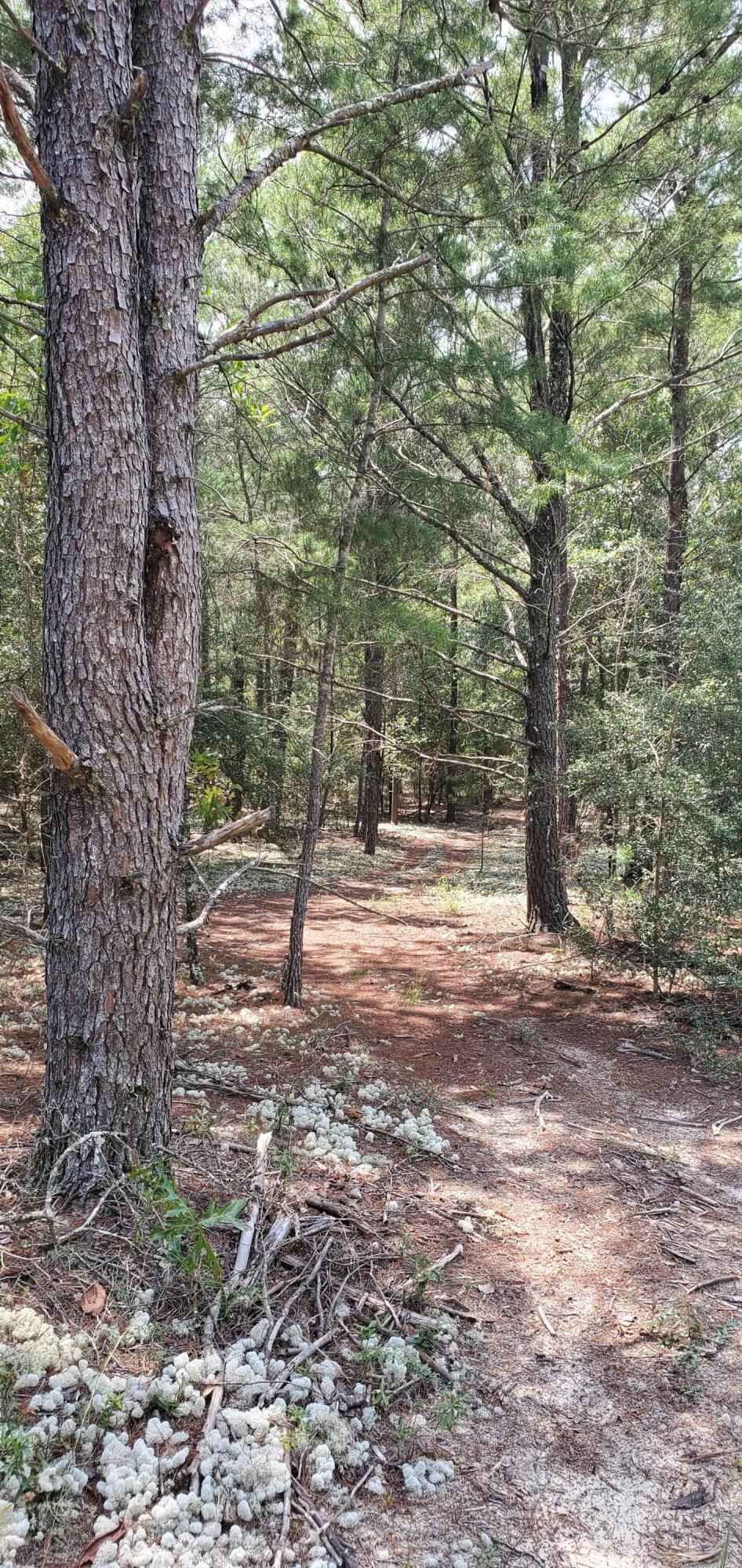 METES & BOUNDS - Land