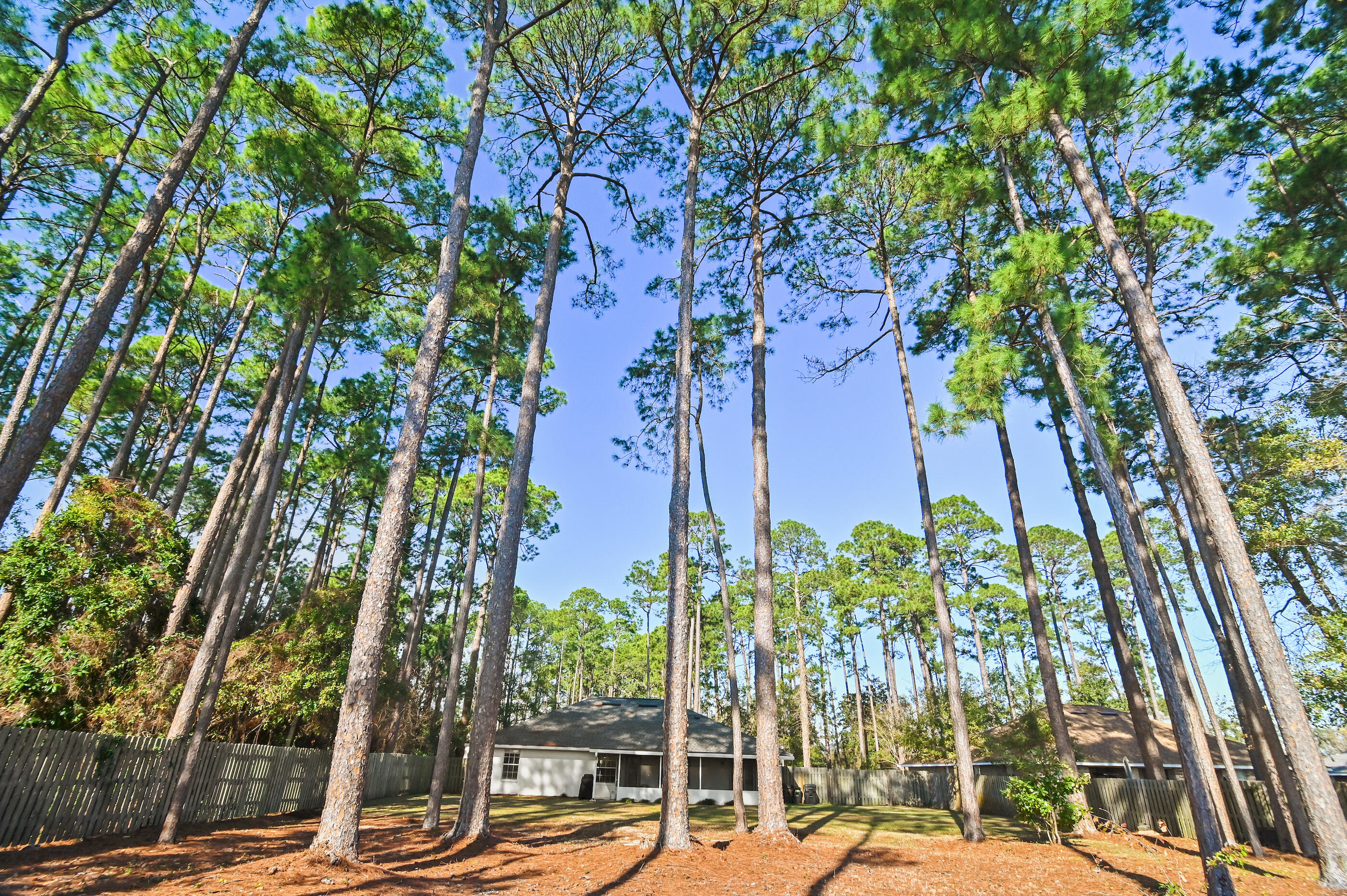 Greater Driftwood Estates - Residential