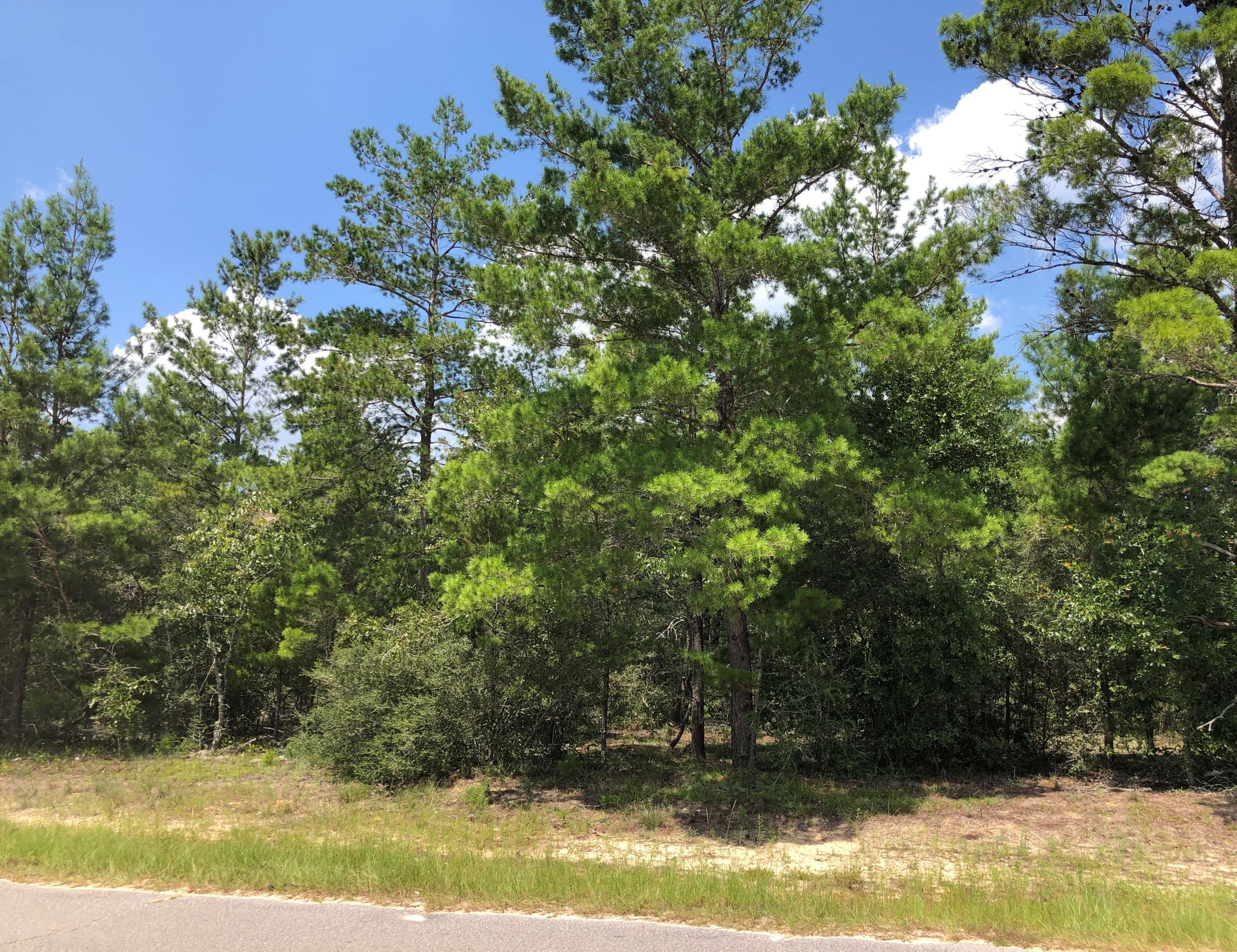 Wooded lot on just over an acre with paved road frontage. Perfect spot for building your new home or a new manufactured home. Public water is available, but tap fee has not been paid. Property is being sold As Is. Buyer to perform all due-diligence.