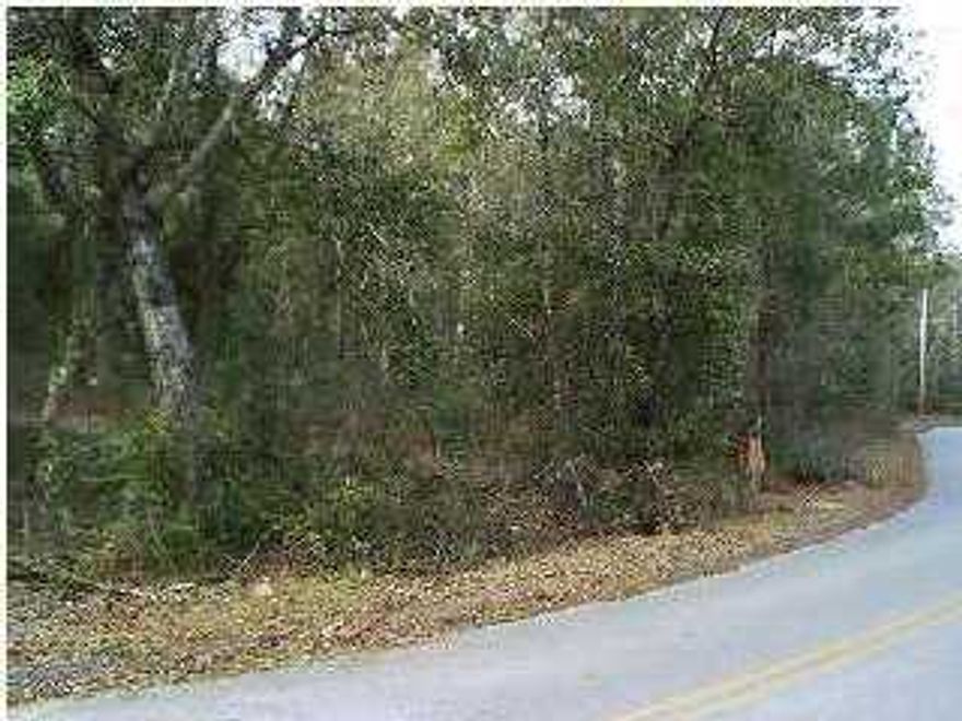 GENTLY SLOPING JUNIPER LAKE WATERVIEW SITE WITH HIGHER GROUND FOR BUILDING A FAMILY HOME. THE LANDSCAPING OF THIS LOT WITH HARDWOODS WILL PROVIDE A PRIVATE AND PEACEFULL SETTING. THIS PARCEL HAS APPRXIMATELY 160 FEET OF FRONTAGE ON SQUIRREL ROAD. AN ADDITIONAL 1.46 ACRES IS AVAILABLE ON MLS 778292. BUYER TO VERIFY ALL INFORMATION.