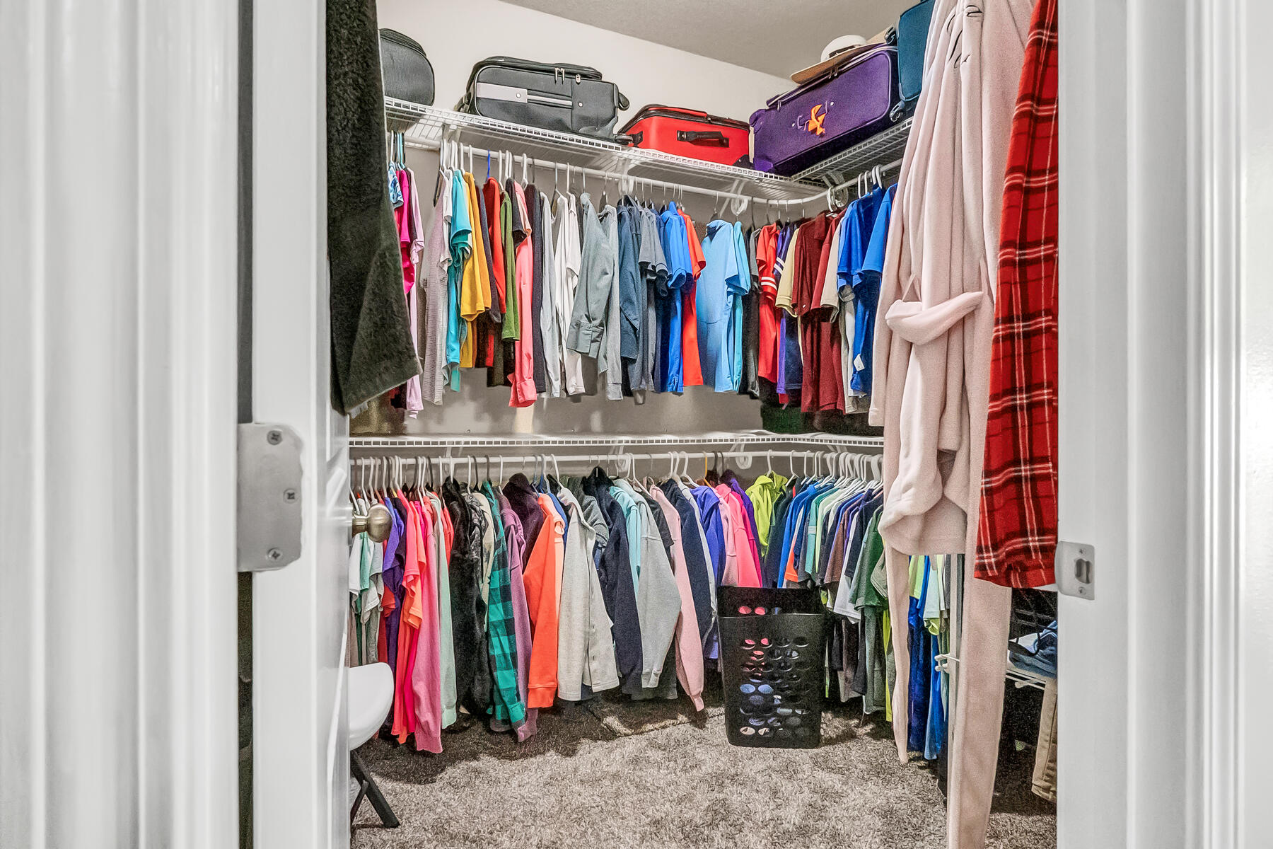 CAMELLIA COVE - Residential