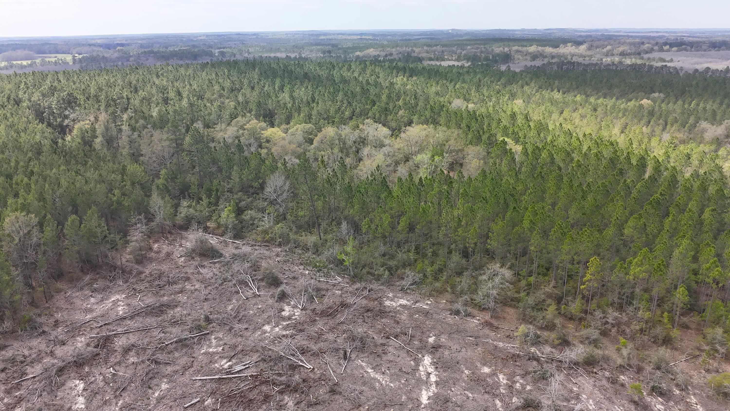 METES & BOUNDS - Farm