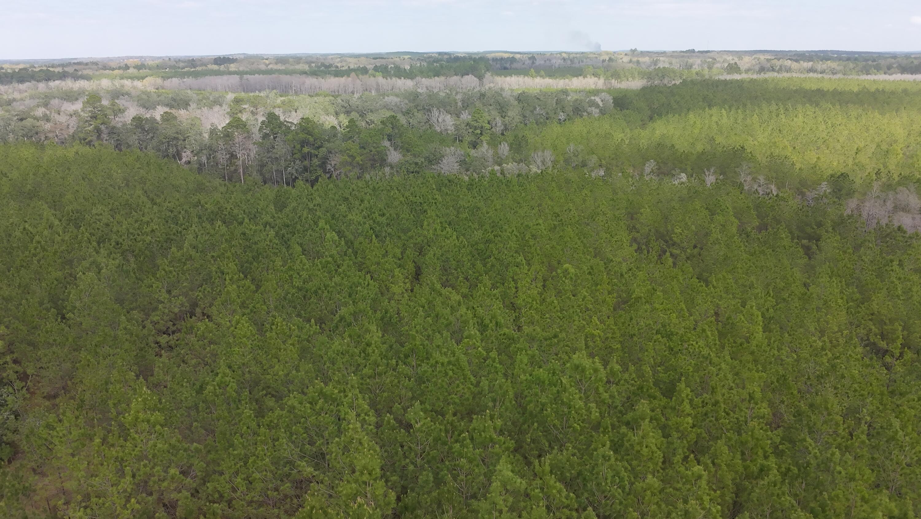 METES & BOUNDS - Farm