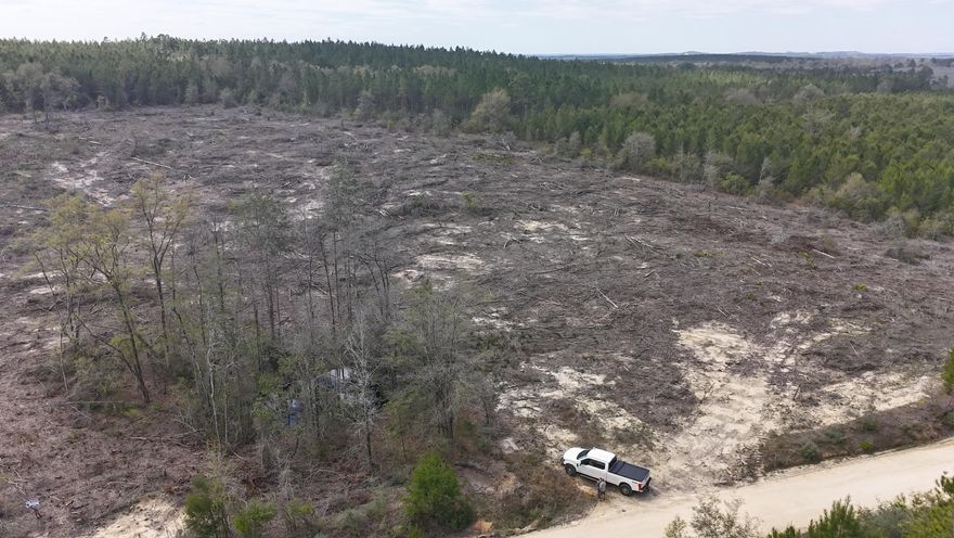 Dream Location for Country Living or Hunters Paradise either way you won't want to miss this opportunity! This Beautiful 37+/- Acres of prime land has so much to offer,Planted Pine- young pines. Bring your build plans, hunting gear, Horses and ATVS LOCATION LOCATION!!!! This Property has Easy Access to Panama City Beaches I-10, Hwy 79, and Hwy 90.Additional land available