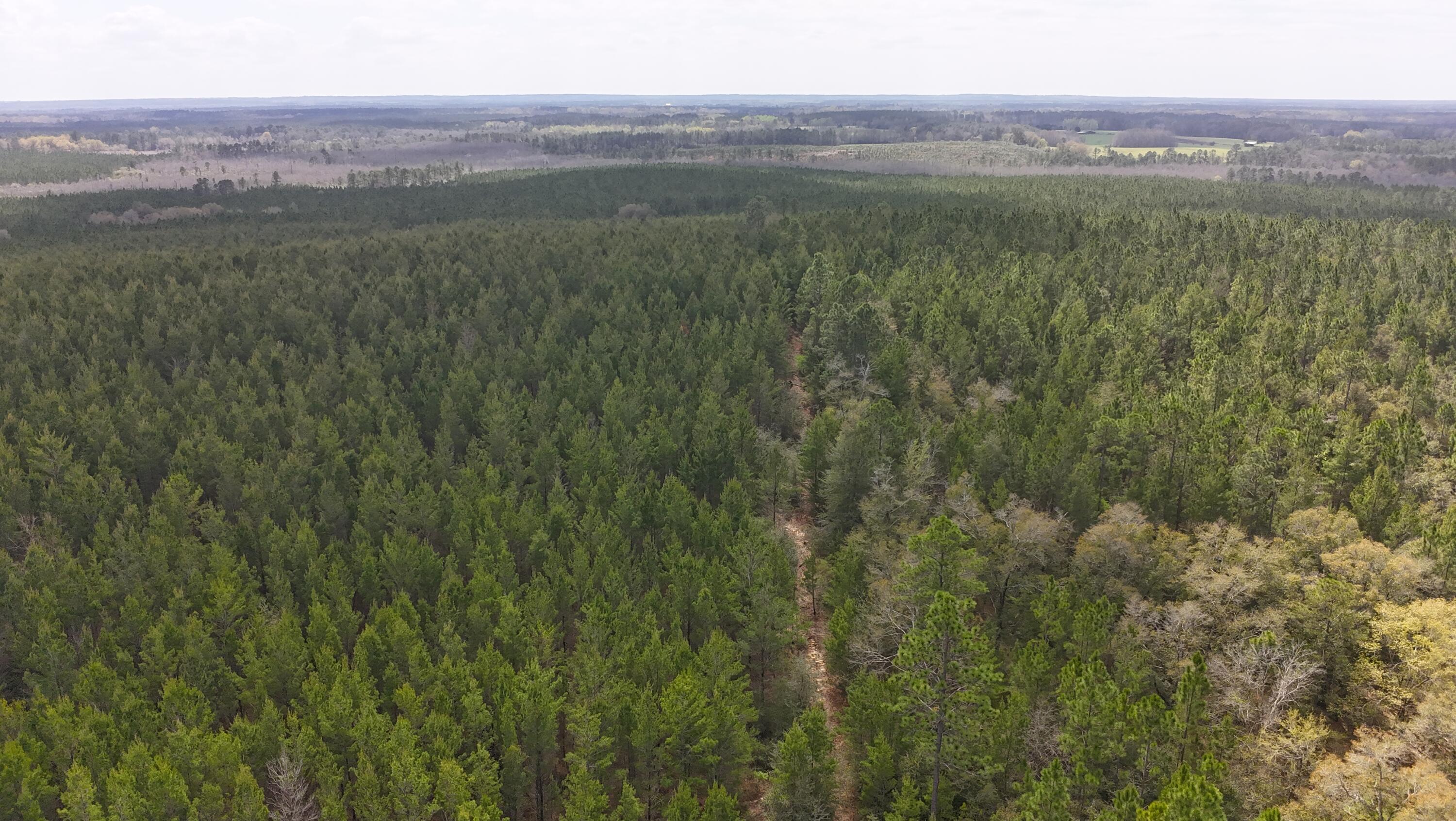 METES & BOUNDS - Farm