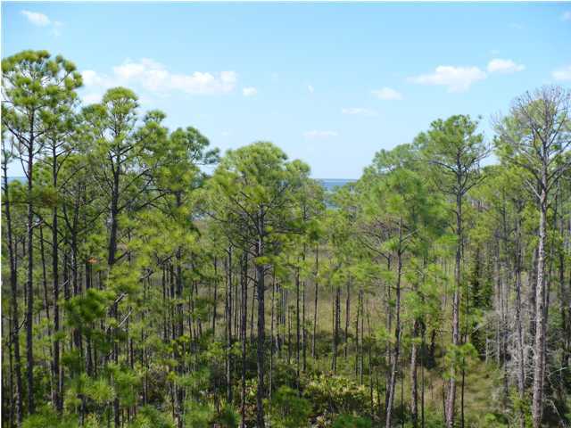 GRAND SANDESTIN - Residential Lease