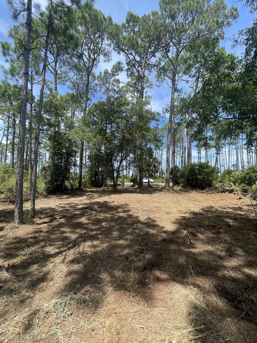 Oversized RV approved lot located between Simmons Bayou and the St Joseph Bay Buffer Preserve Station. Enjoy sunsets and views of St Joseph Bay. This recently Gyro-Traced lot has some of the most beautiful and mature oaks, palms, and pines in the area. The rear of the property is also bordered by thousands of acres of the State owned St Joseph Bay Buffer Preserve, so no back door neighbors! Utilities available are; County water, City Sewer, Duke Power, and Phone. Dimensions were taken from the Gulf PA website. Please verify if important. No survey on file.