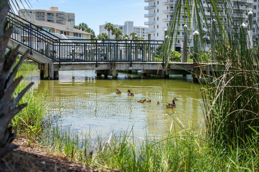 SANDPIPER COVE PH 25 - Residential