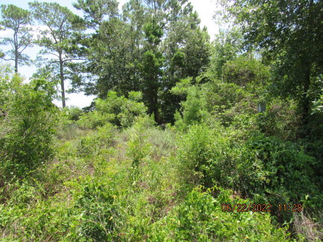 EMERALD POINTE PLAT 2 - Land