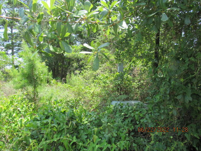 EMERALD POINTE PLAT 2 - Land