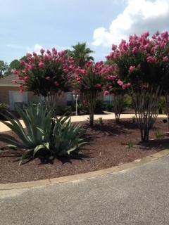 PELICAN BAY S/D - Residential