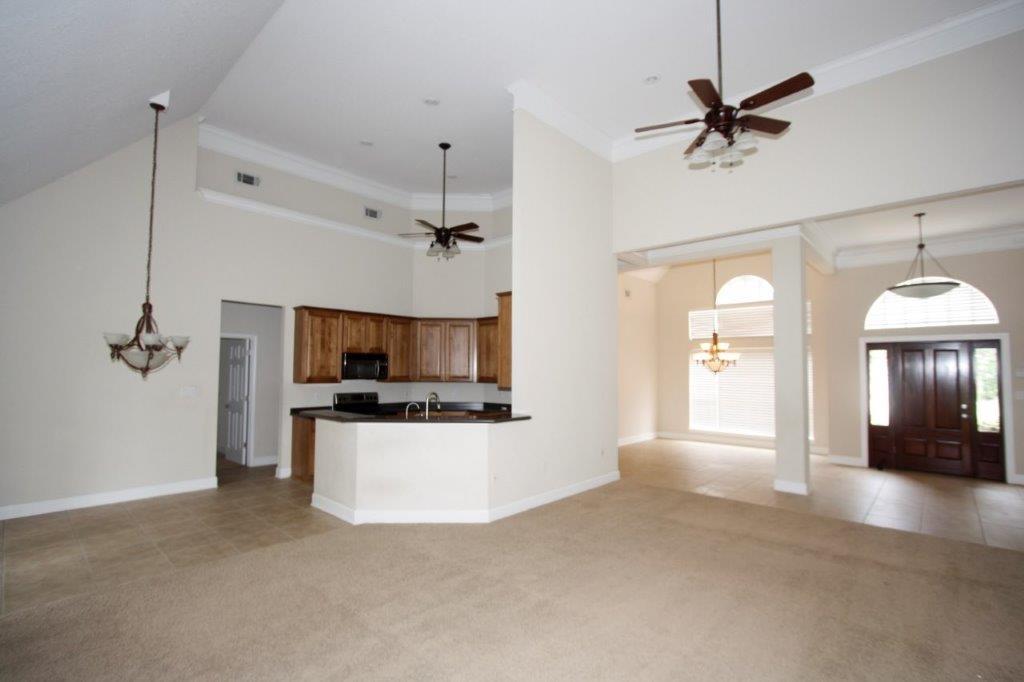 OLDE FLORIDA LAKES - Residential