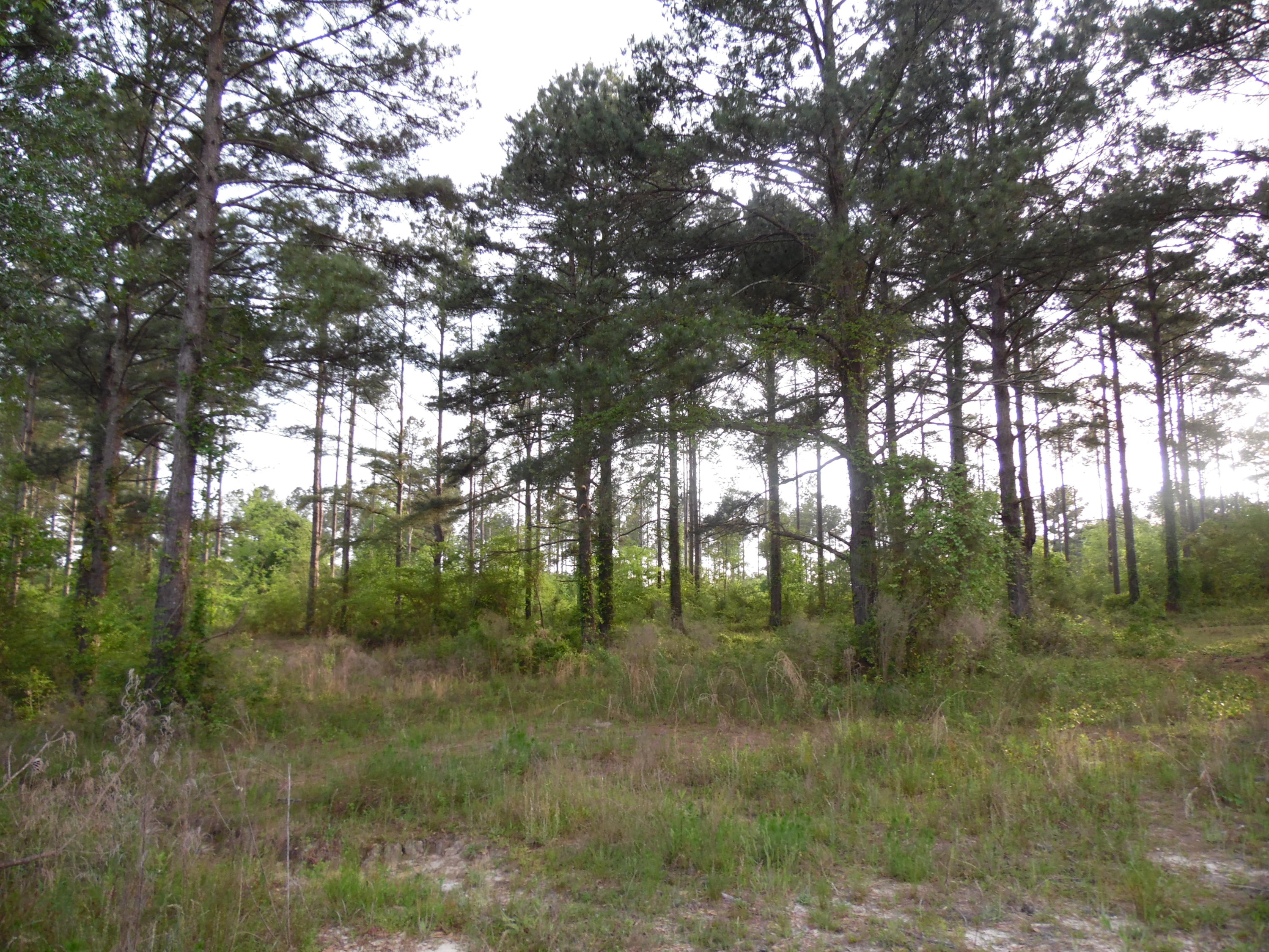 Metes and Bounds - Land