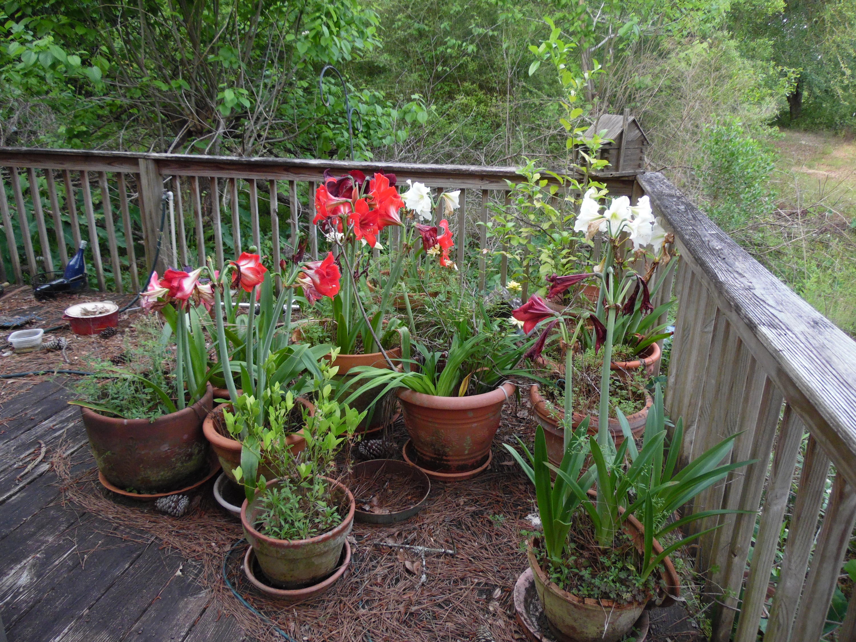 Metes and Bounds - Land