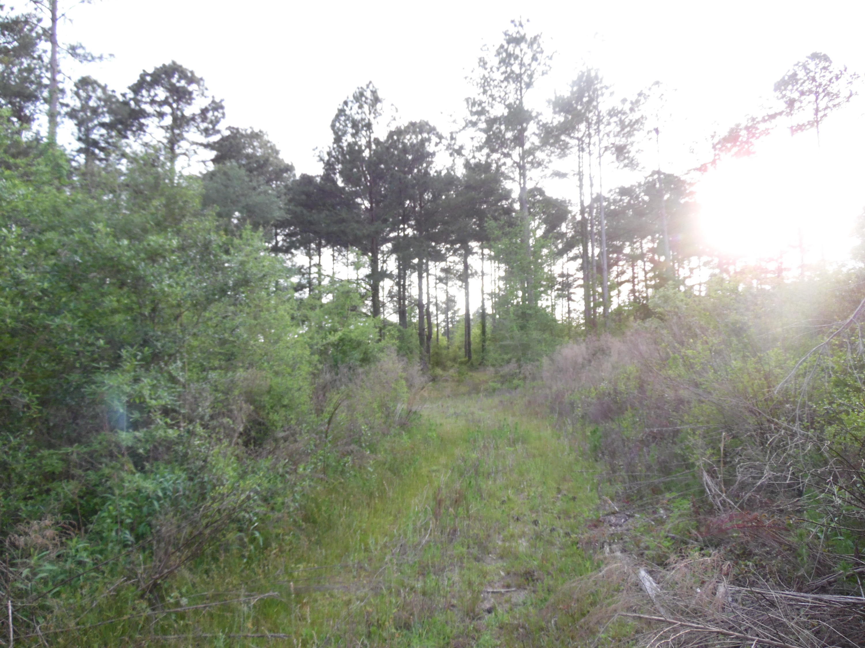 Metes and Bounds - Land