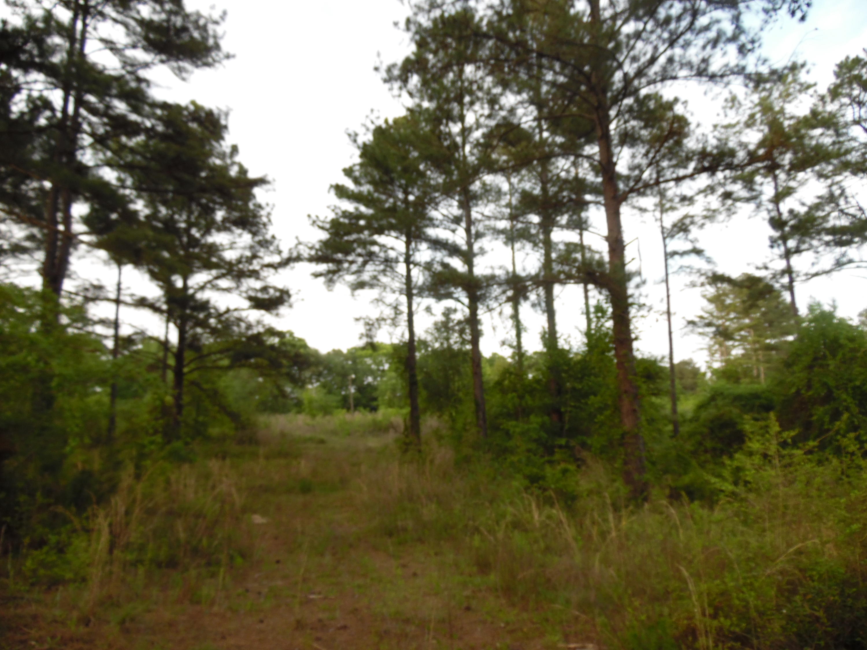 Metes and Bounds - Land