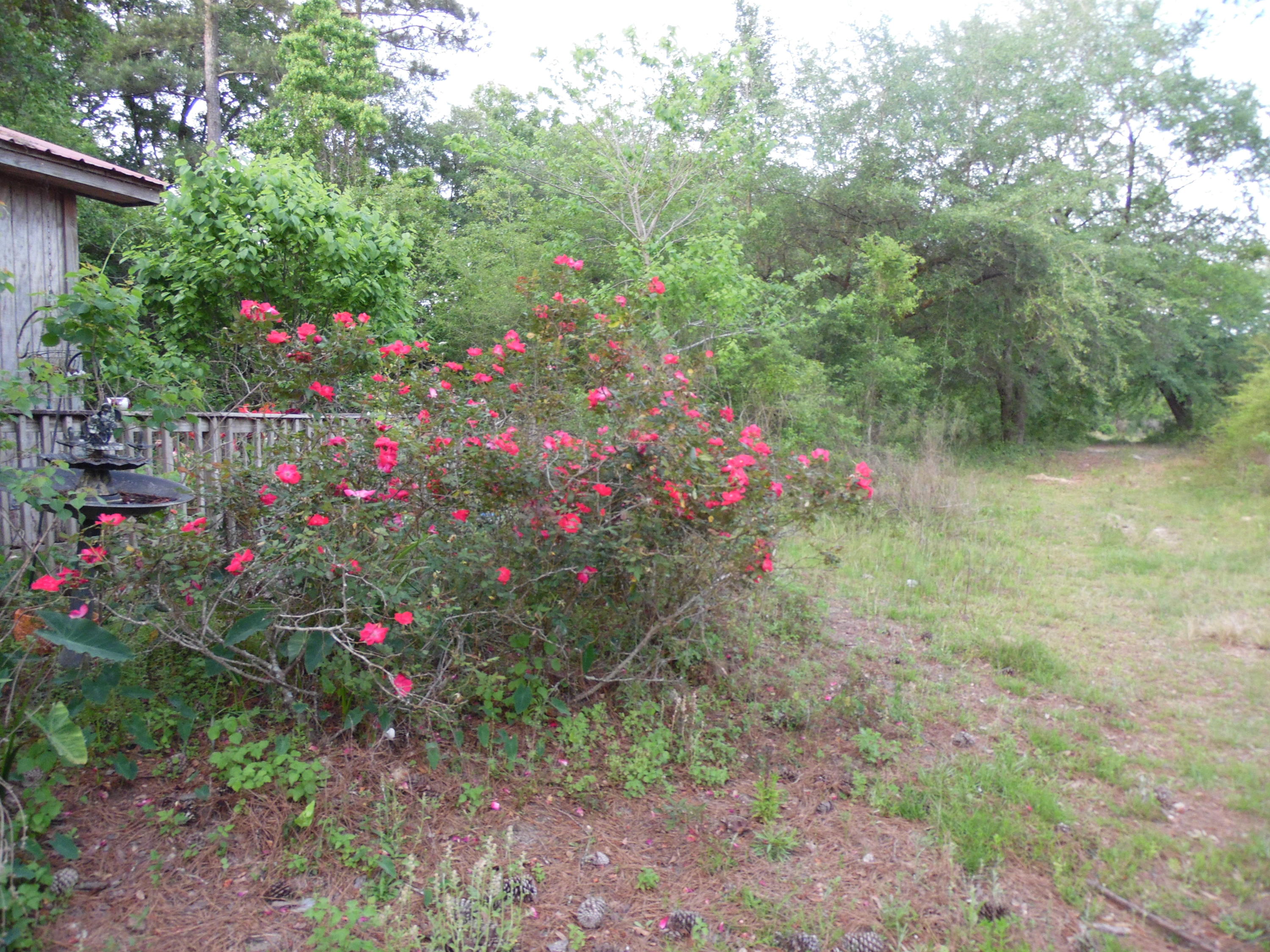 Metes and Bounds - Land