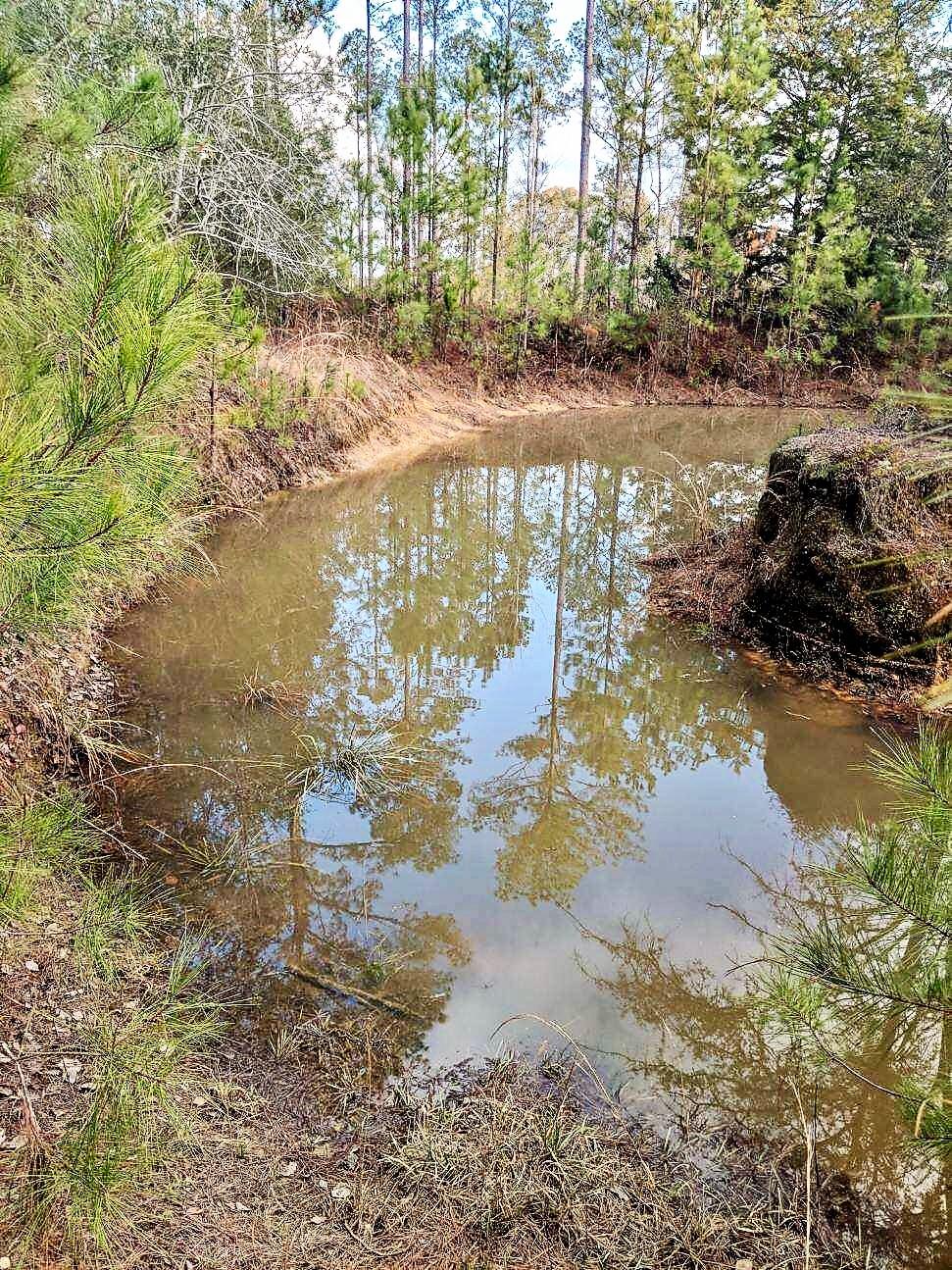 Metes and Bounds - Land