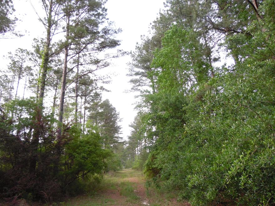 Small cabin, on 44 acres with 2 small ponds, lots of trees, was used for a miniature horse farm. It is fenced and cross-fenced. Lots of tall pole pine trees. Deep well 400', no septic, power, many water faucets throughout the property. Lots of landscape plants, Amaryllis, red and candy cane striped, crepe myrtle trees and so much more. Super private and secluded. Would make a good hunting camp, or just a ''get away''. Shown by appt. please do not go the property without a Realtor. Located appx. 27 miles north of DeFuniak.