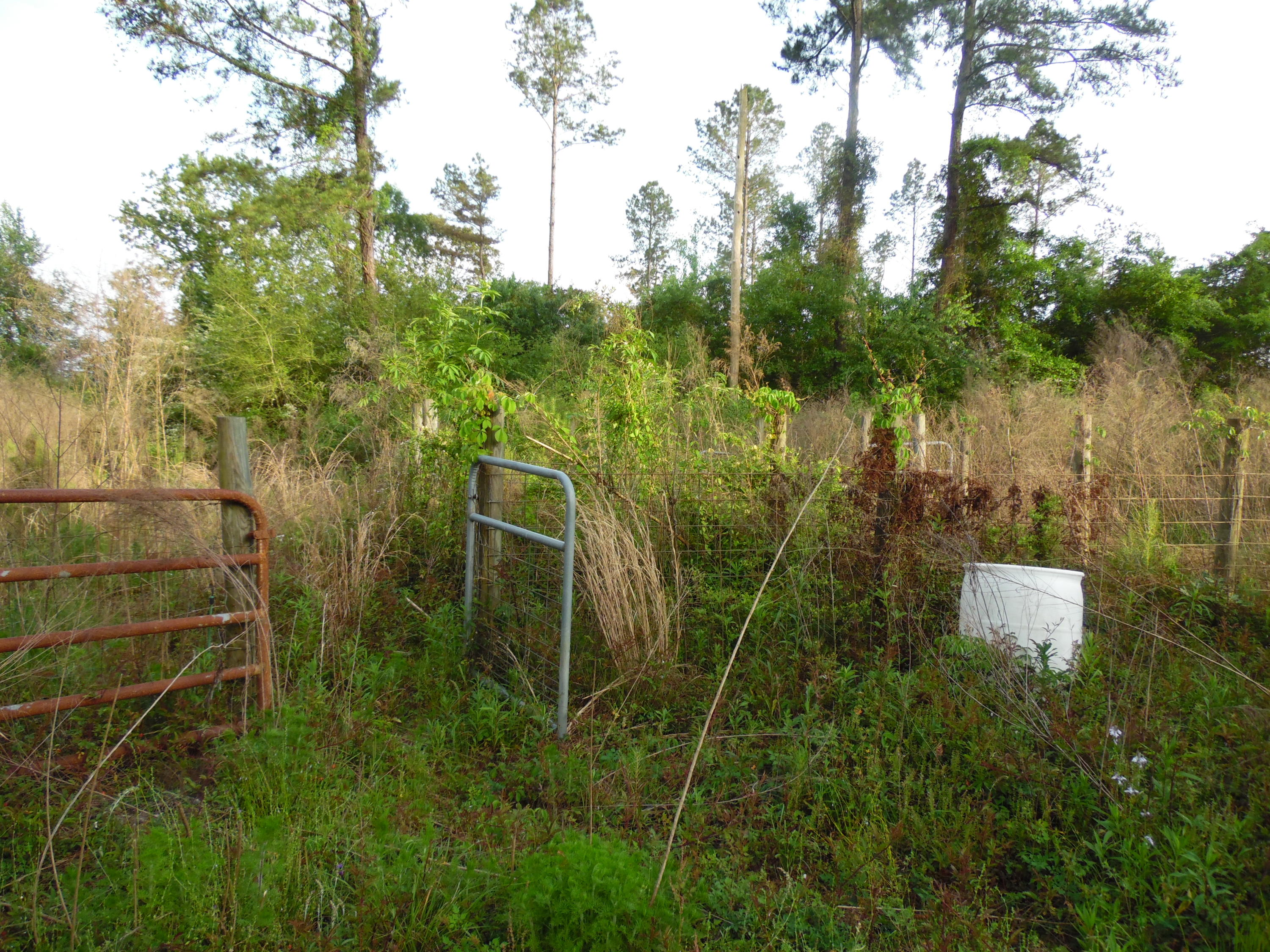 Metes and Bounds - Land