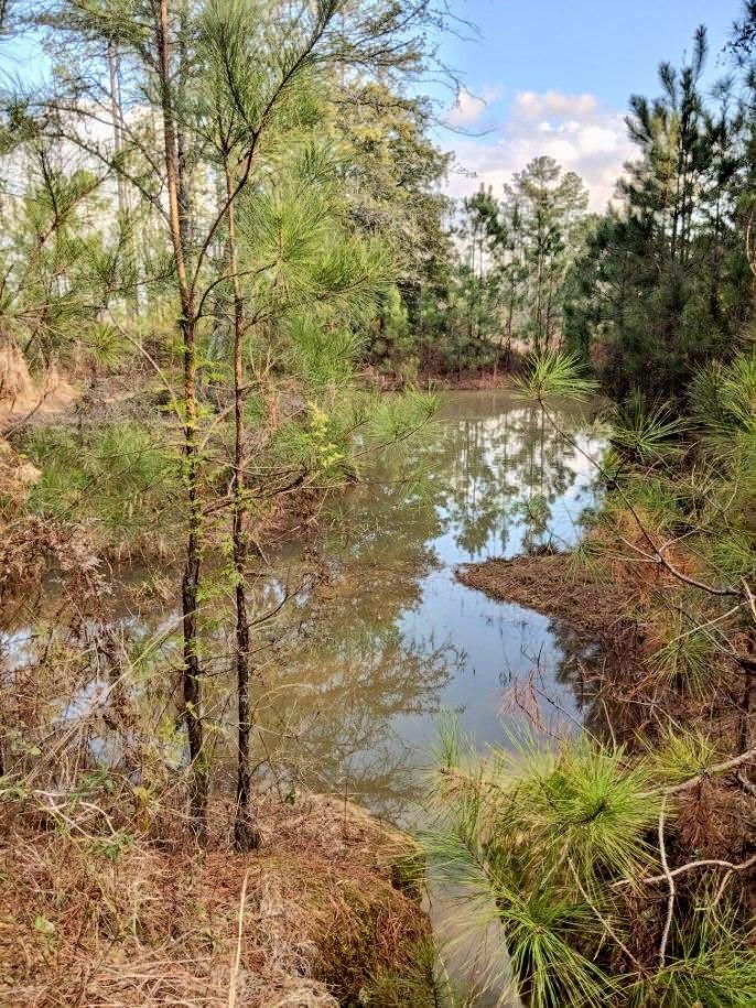 Metes and Bounds - Land