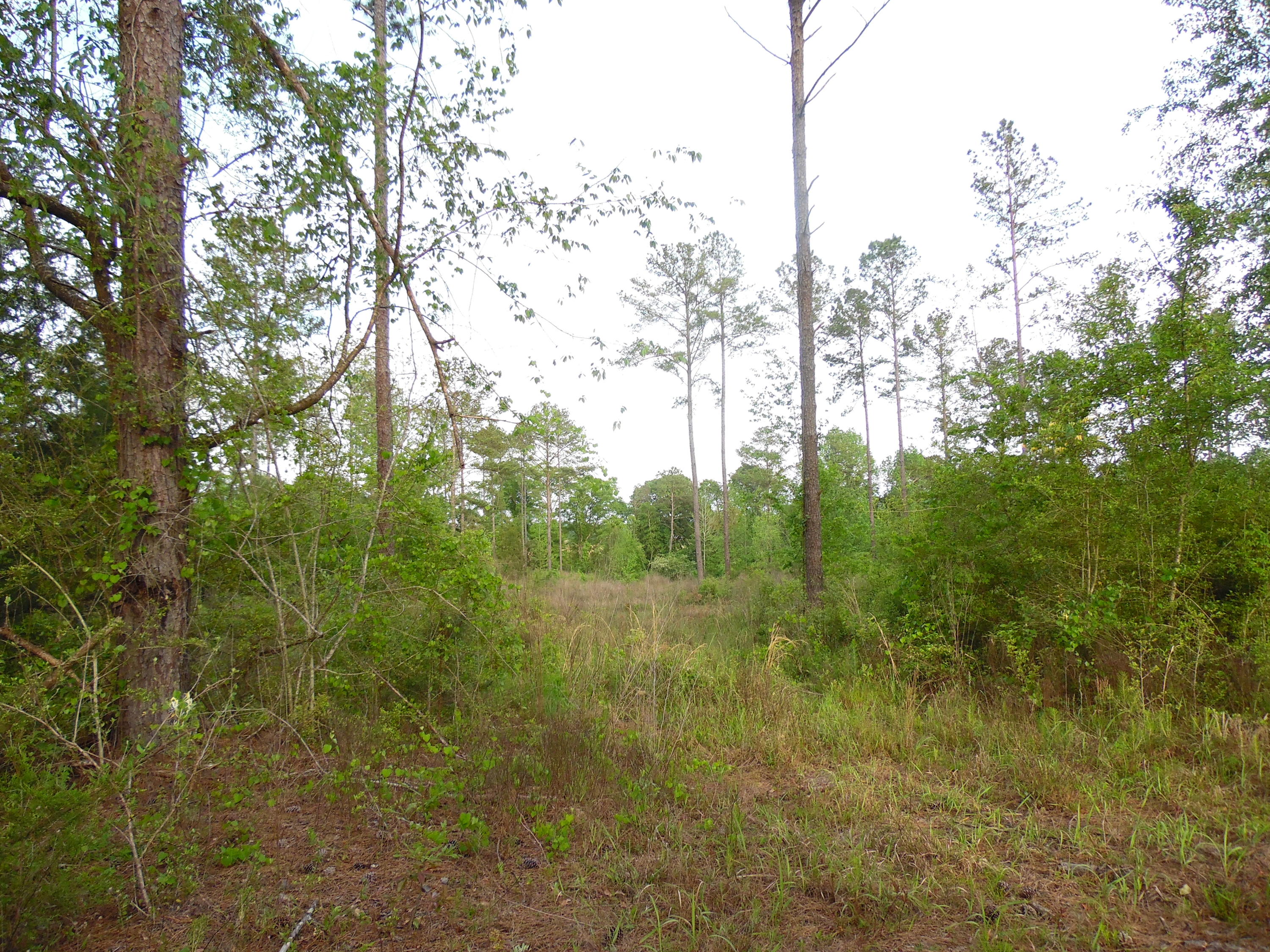 Metes and Bounds - Land