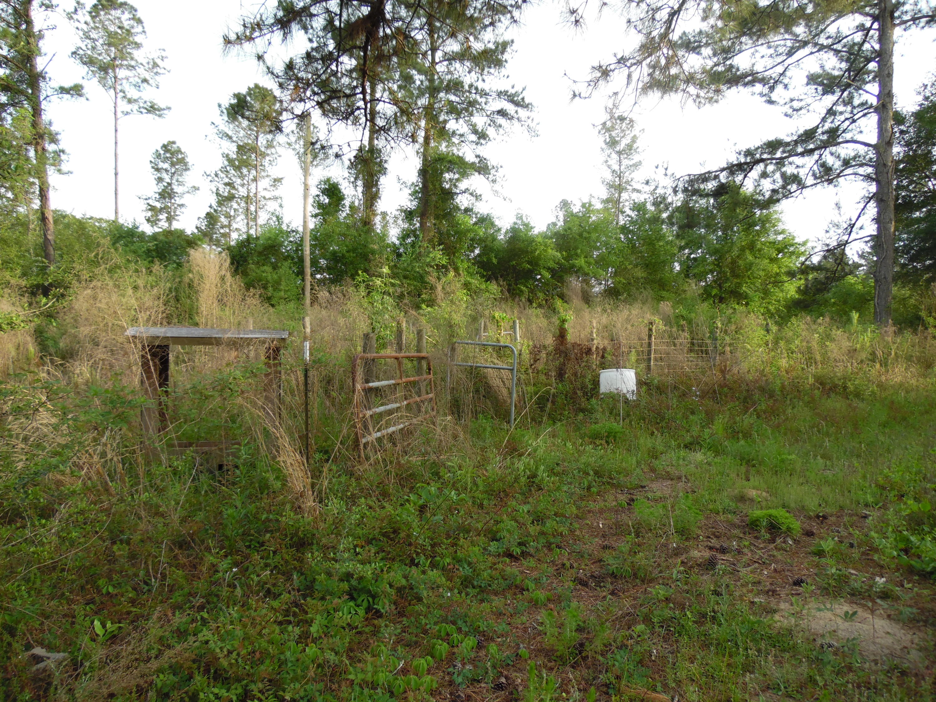 Metes and Bounds - Land