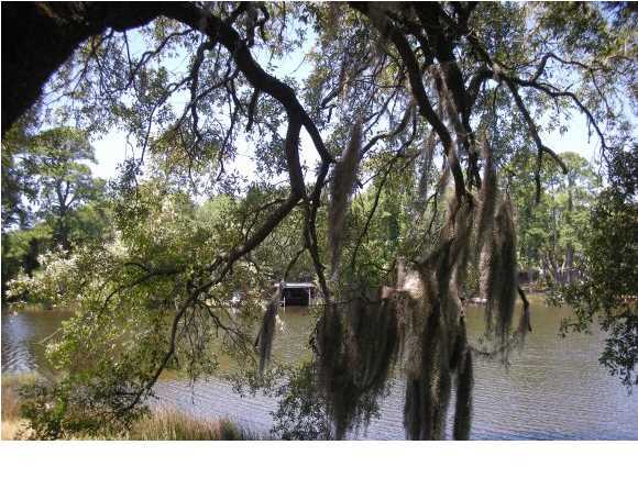 LYNN HAVEN - Residential