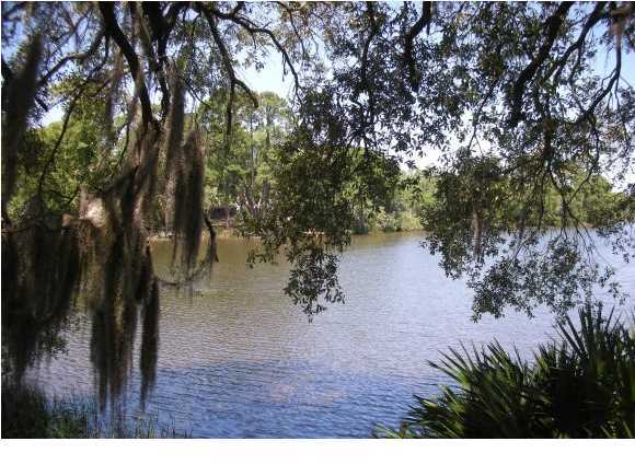 LYNN HAVEN - Residential