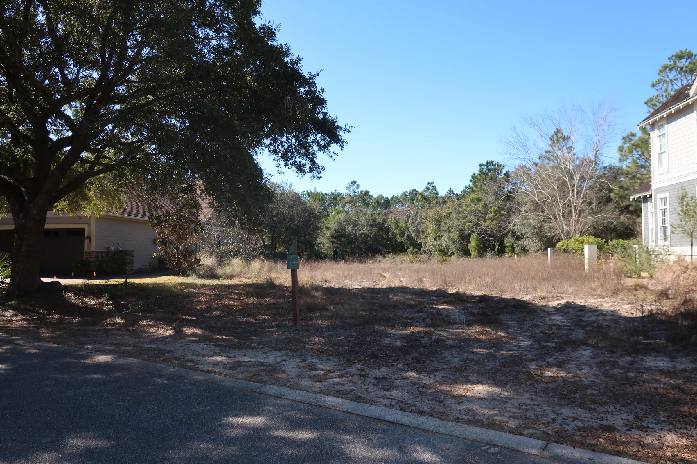 WILD HERON PHASE I 5D - Land