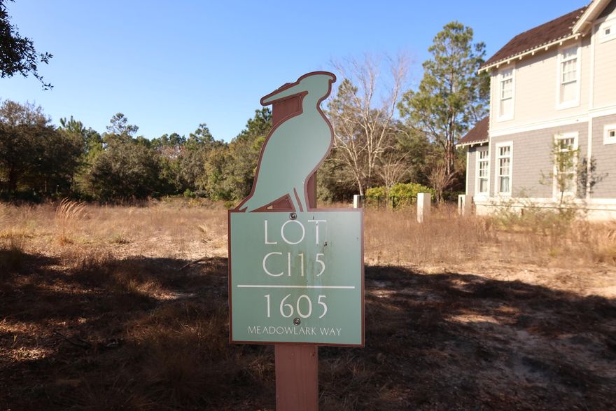 Opportunity to build your dream home in the gulf coast's most unique gated lakefront community. Wild Heron is a 734-acre sanctuary on the shore of Florida's largest coastal dune lake, Lake Powell. You will enjoy the lakefront heated swimming pool, hot tub, fitness center, fishing dock boathouse with kayaks for resident's use to explore Lake Powell, lakefront boardwalk fire pit and a gathering area with fireplace overlooking Lake Powell. Wild Heron is located between Rosemary Beach on Scenic Highway 30A and the west end of Panama City Beach which offers beach, restaurants and Pier Park. This property backs up to the fairway of the 4th hole of the top-rated Greg Norman designed Sharks Tooth golf course and close proximity to the front of this lakefront coastal craftsman community.