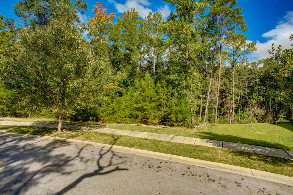 LAGRANGE LANDING - Land