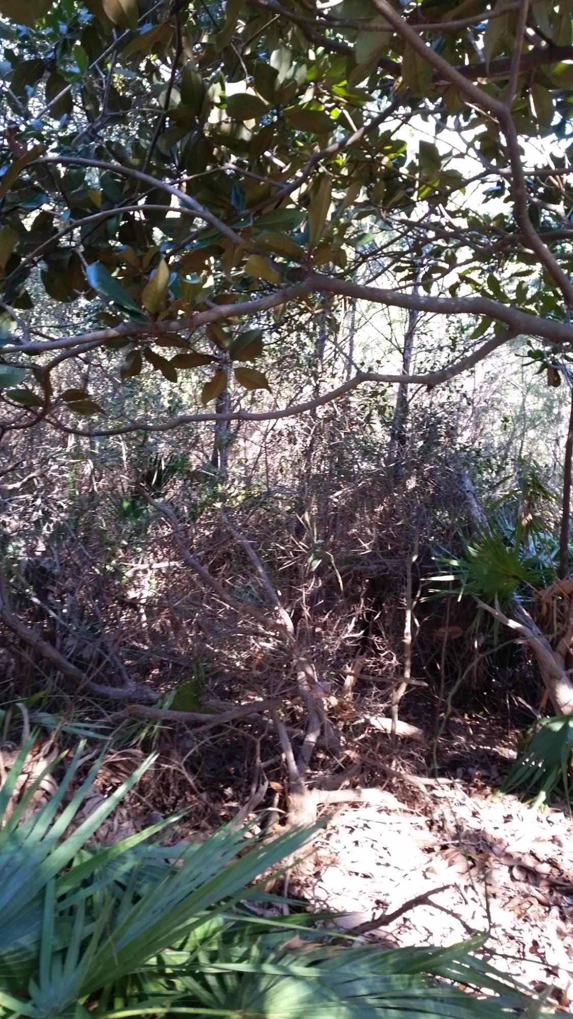 DESTINY EAST PH 1 - Land