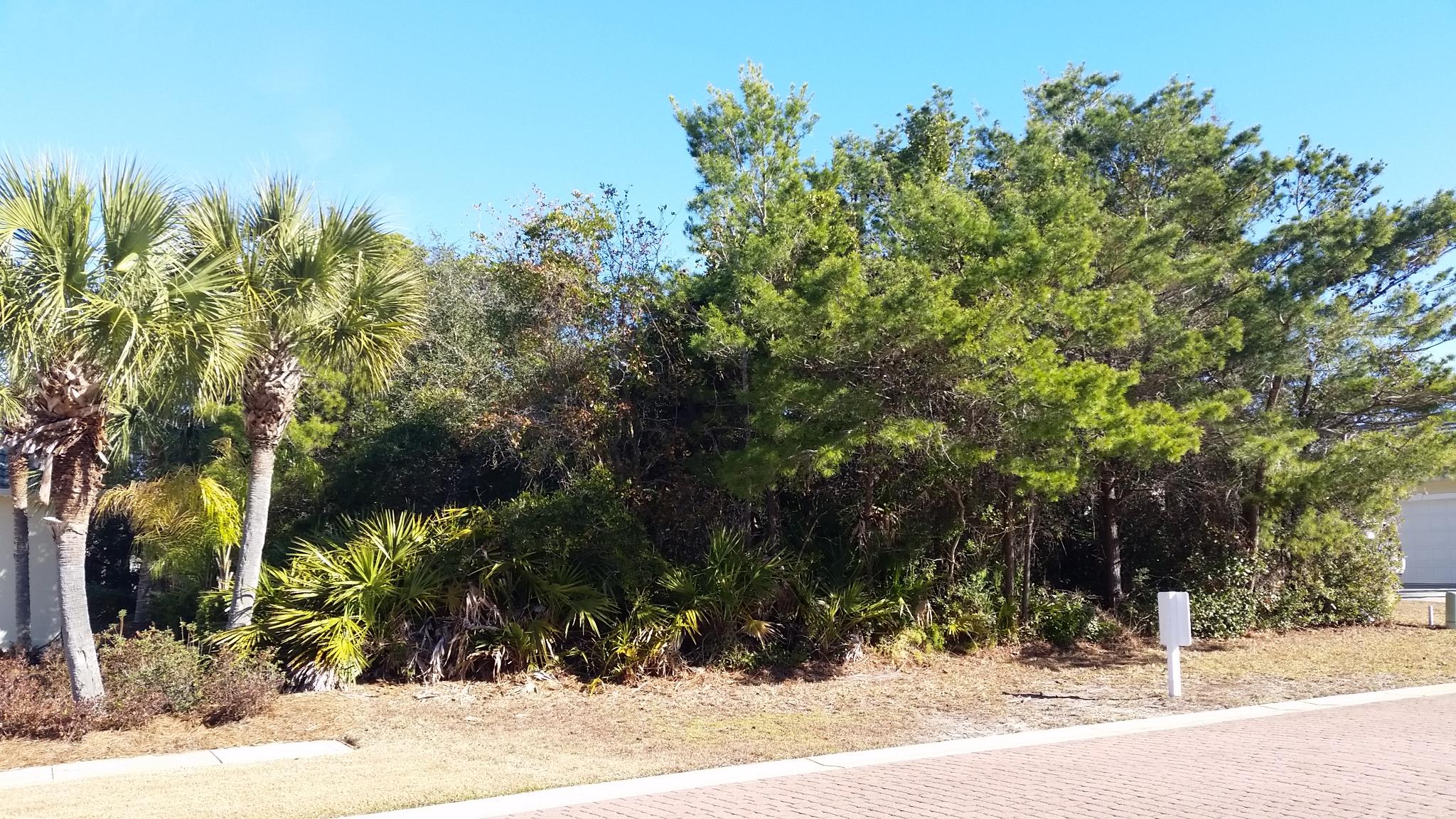 DESTINY EAST PH 1 - Land