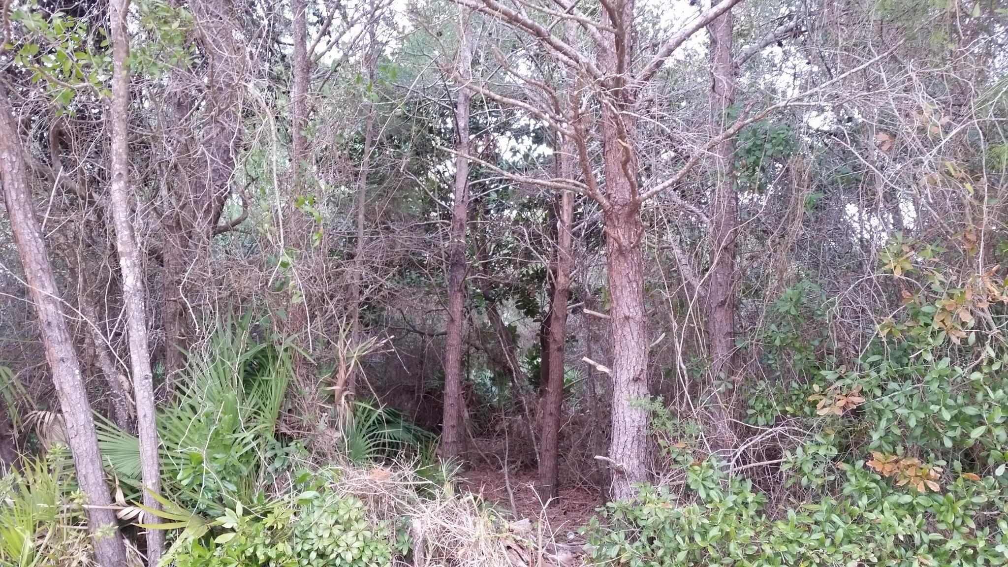 DESTINY EAST PH 1 - Land