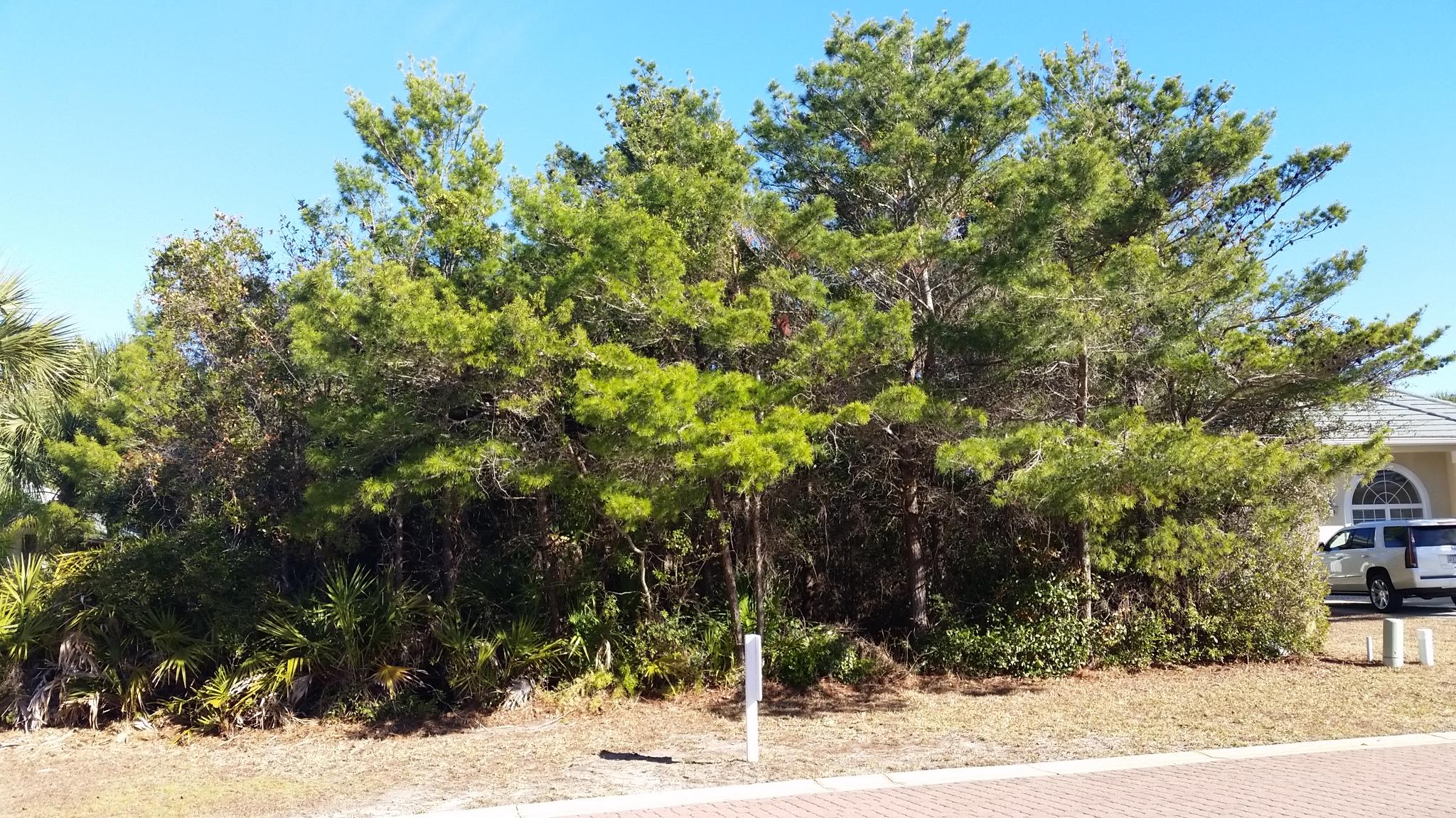 DESTINY EAST PH 1 - Land