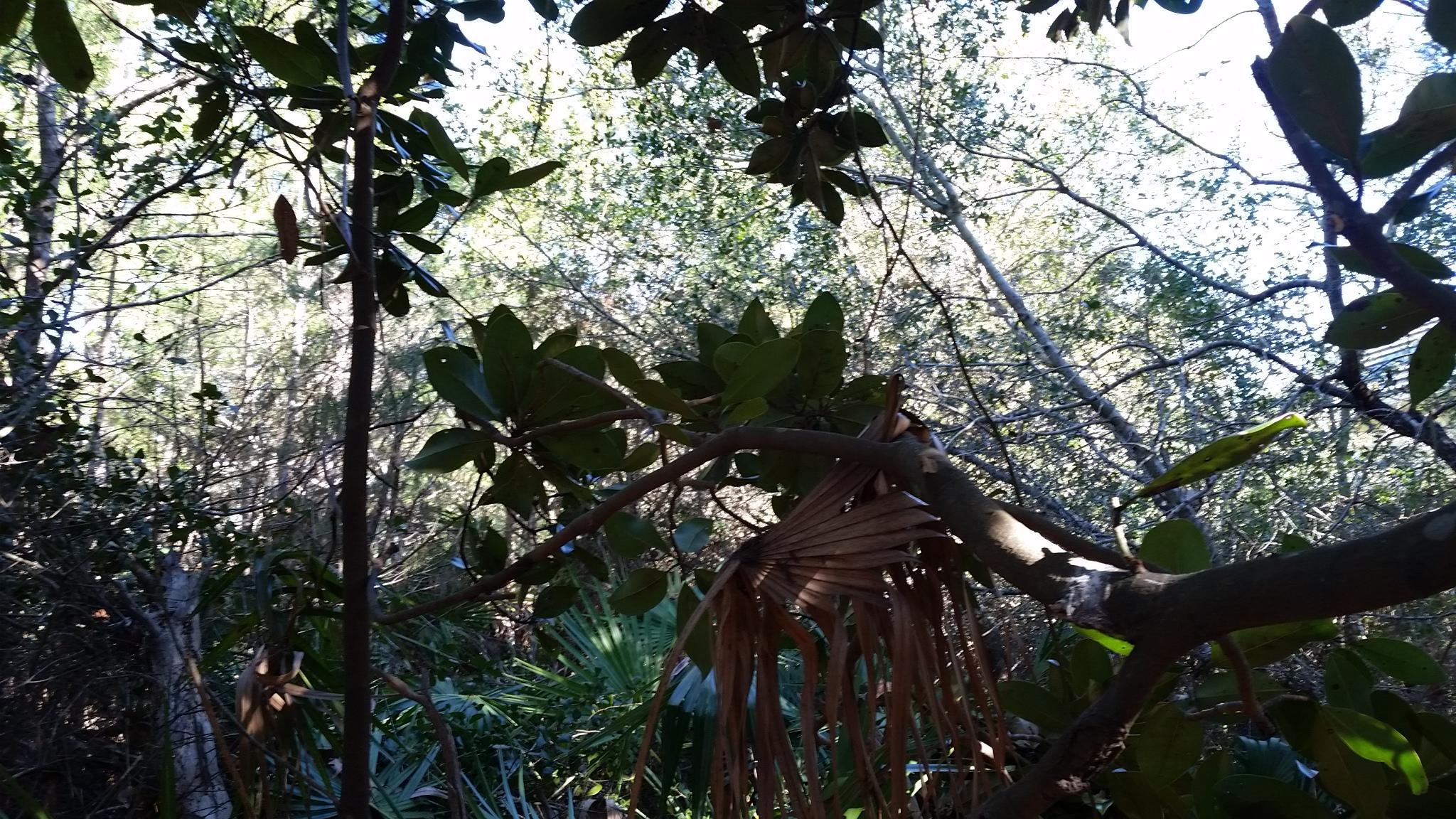 DESTINY EAST PH 1 - Land