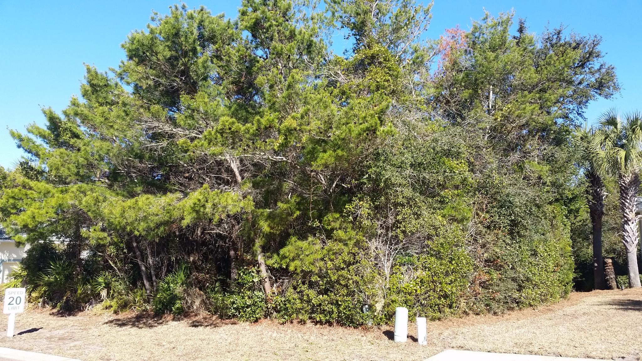 DESTINY EAST PH 1 - Land