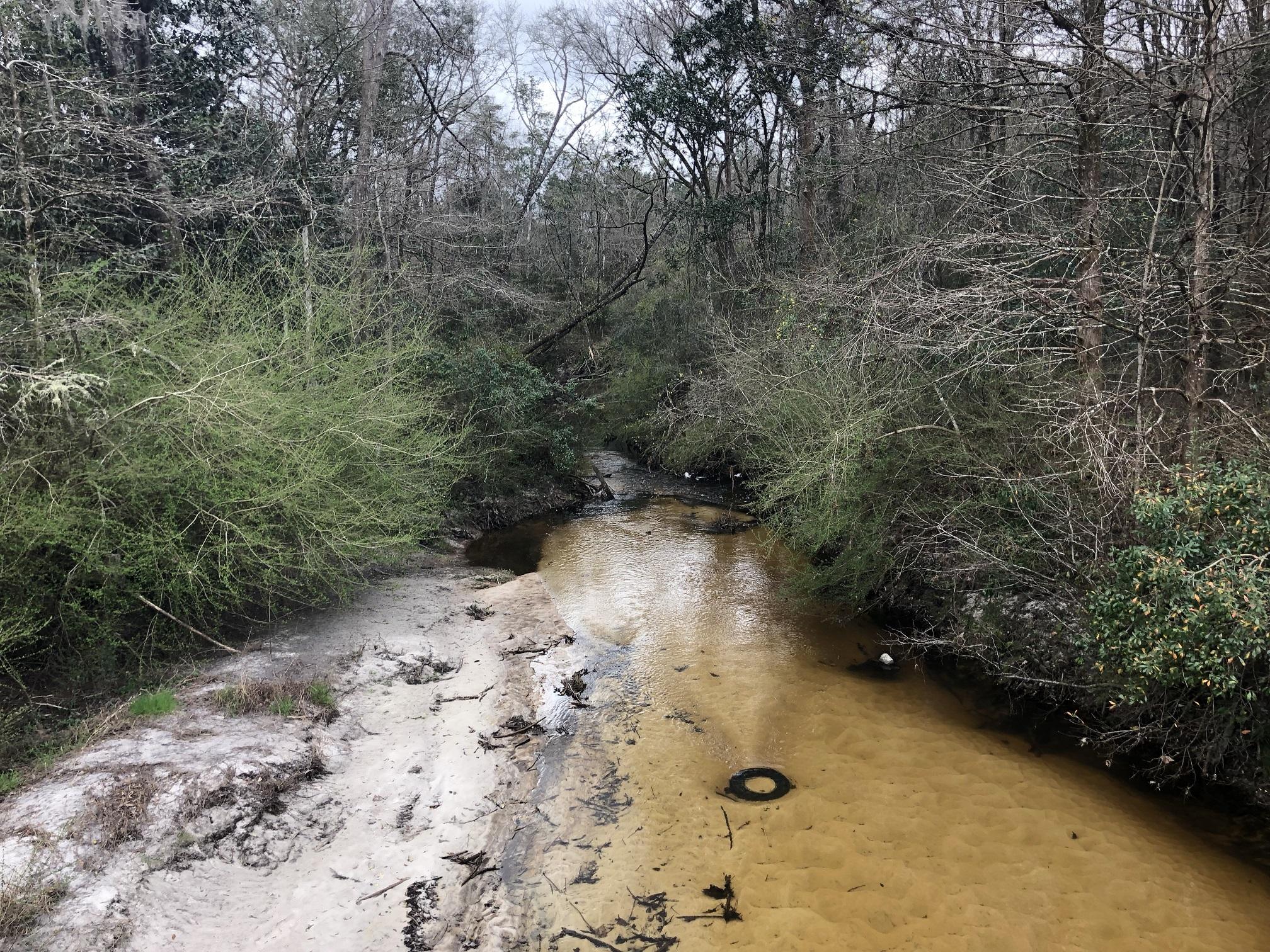 CRYSTAL CLEAR SANDY BOTTOM CREEK -PAVED ROAD FRONTAGE - MIXTURE OF PLANTED PINES AND SOME HARDWOODS Great hunting tract or nice location for a rural home-site away from the hustle and bustle! Plenty of paved road frontage on County Hwy 2 provides great access to this wooded parcel with a small creek running through it. Pick your home-site and a site for your shooting house or deer blind. Deer and turkey abound on this property. Make your appointment today to see this country gem!