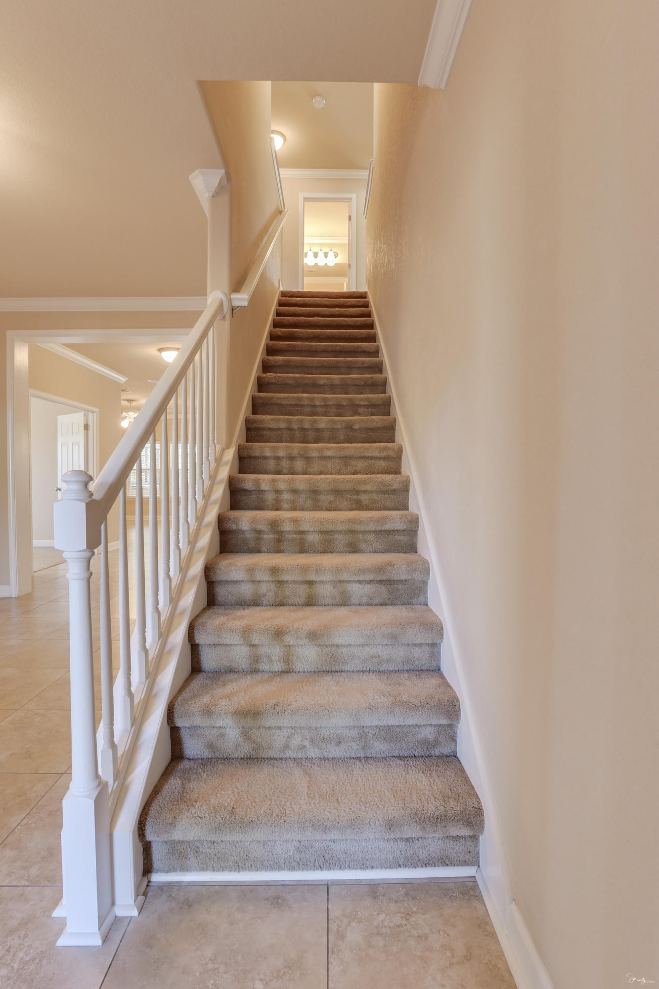 CAMELLIA COVE - Residential