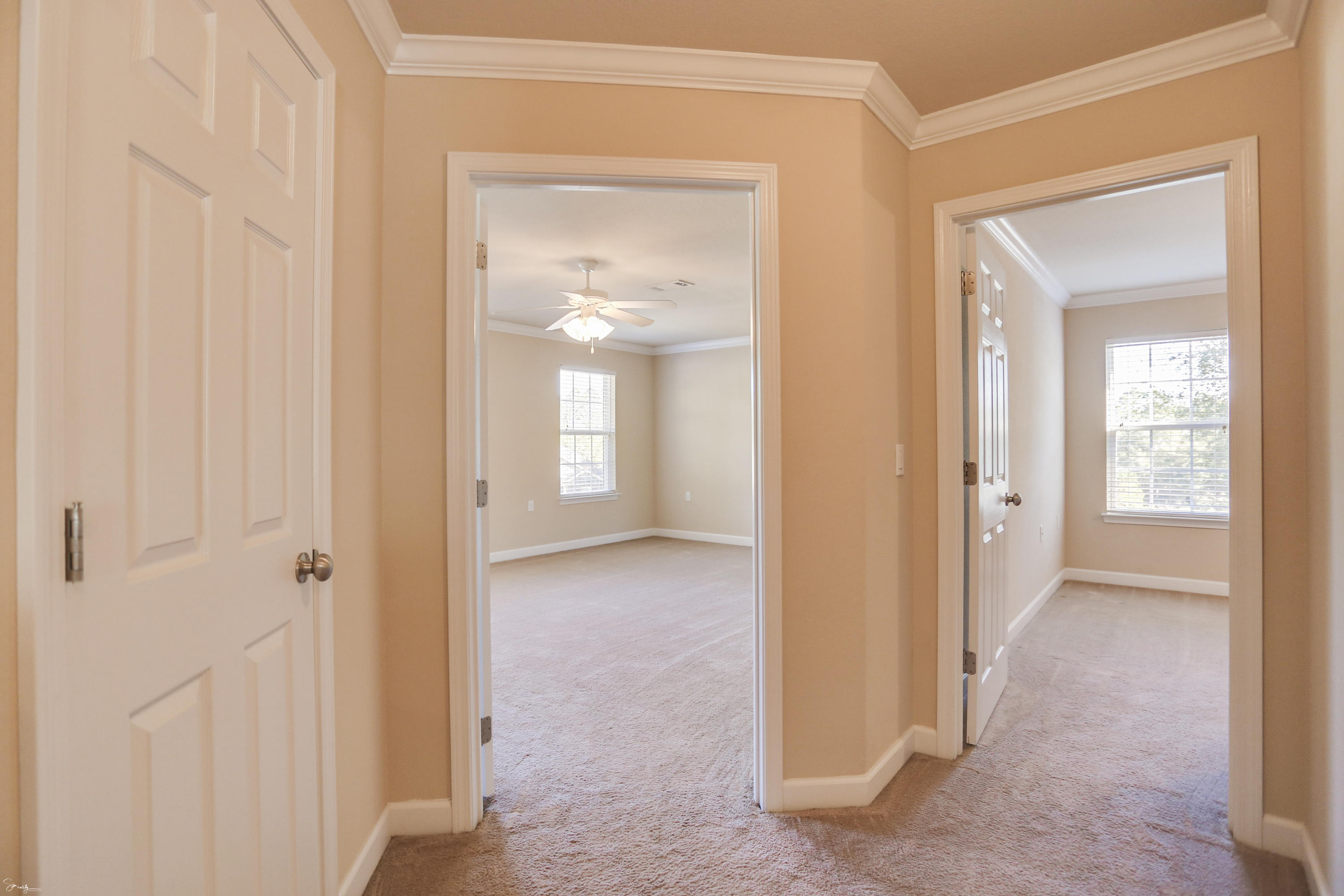 CAMELLIA COVE - Residential