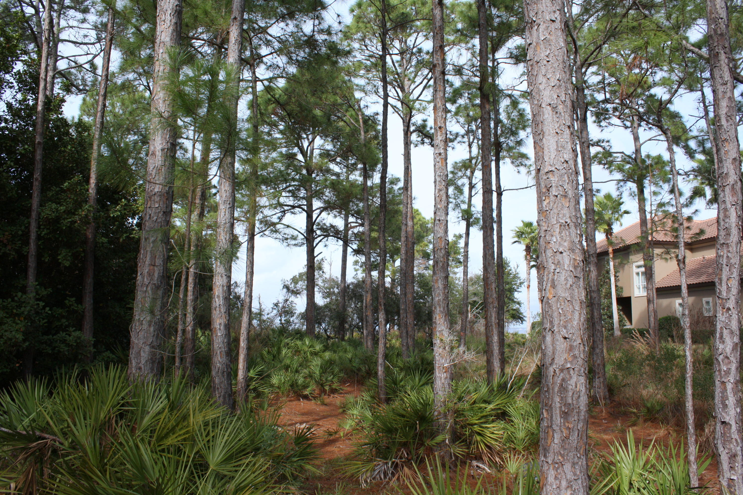 KELLY PLANTATION S/D PH 2 - Land