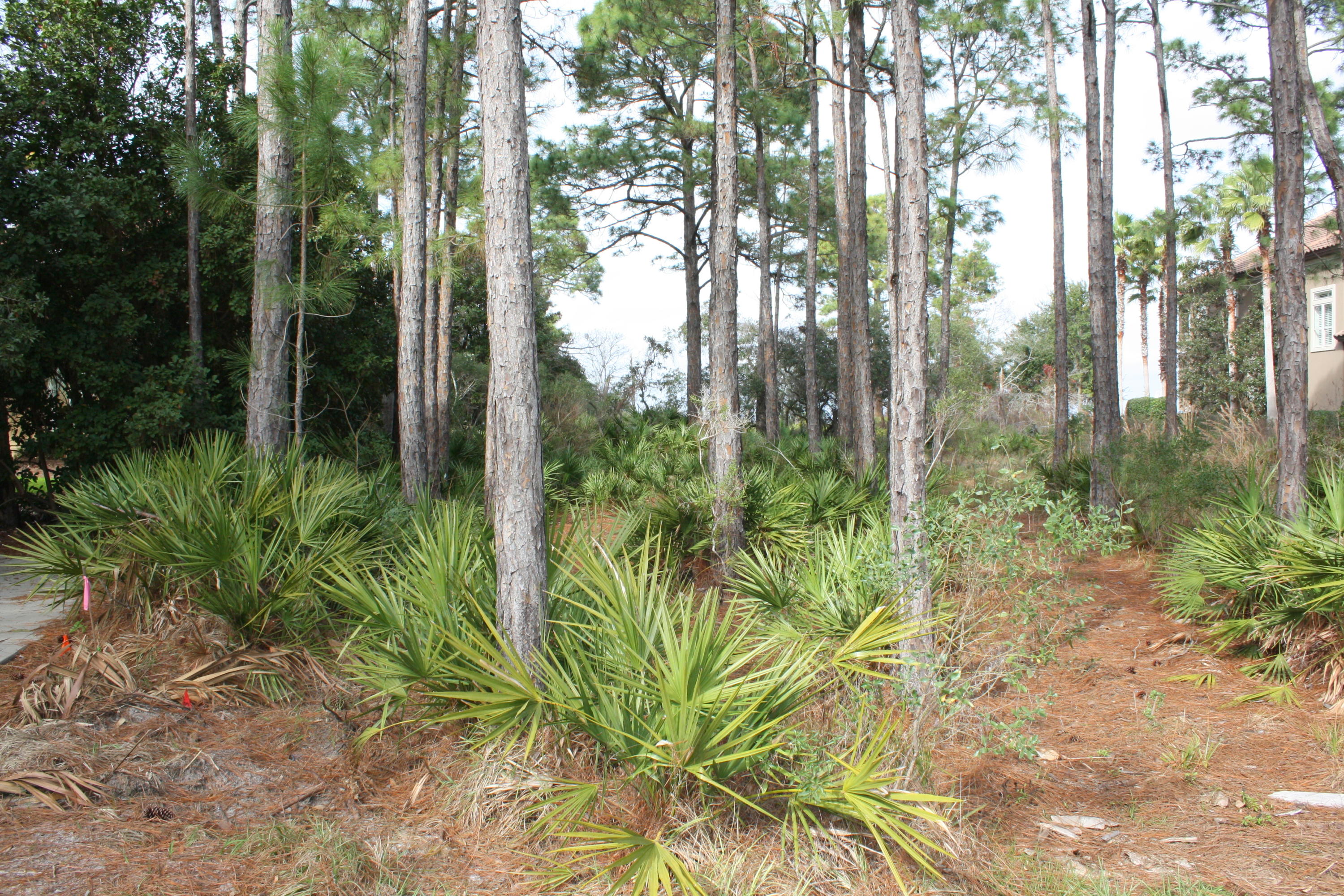 KELLY PLANTATION S/D PH 2 - Land