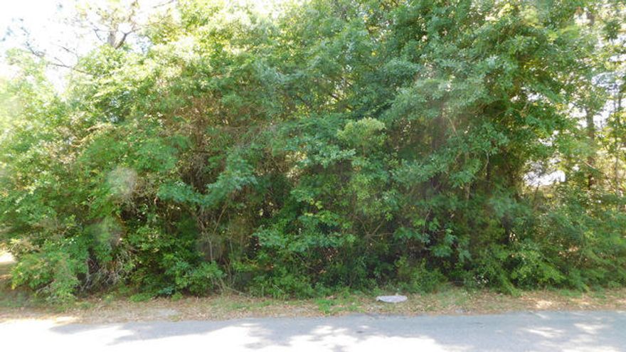 Great build able lot on 1/3 acre. Large trees and shade. The lot is slightly elevated and very level. Easy to build on and in a desirable area of south Crestview. Hurry on this south side property .