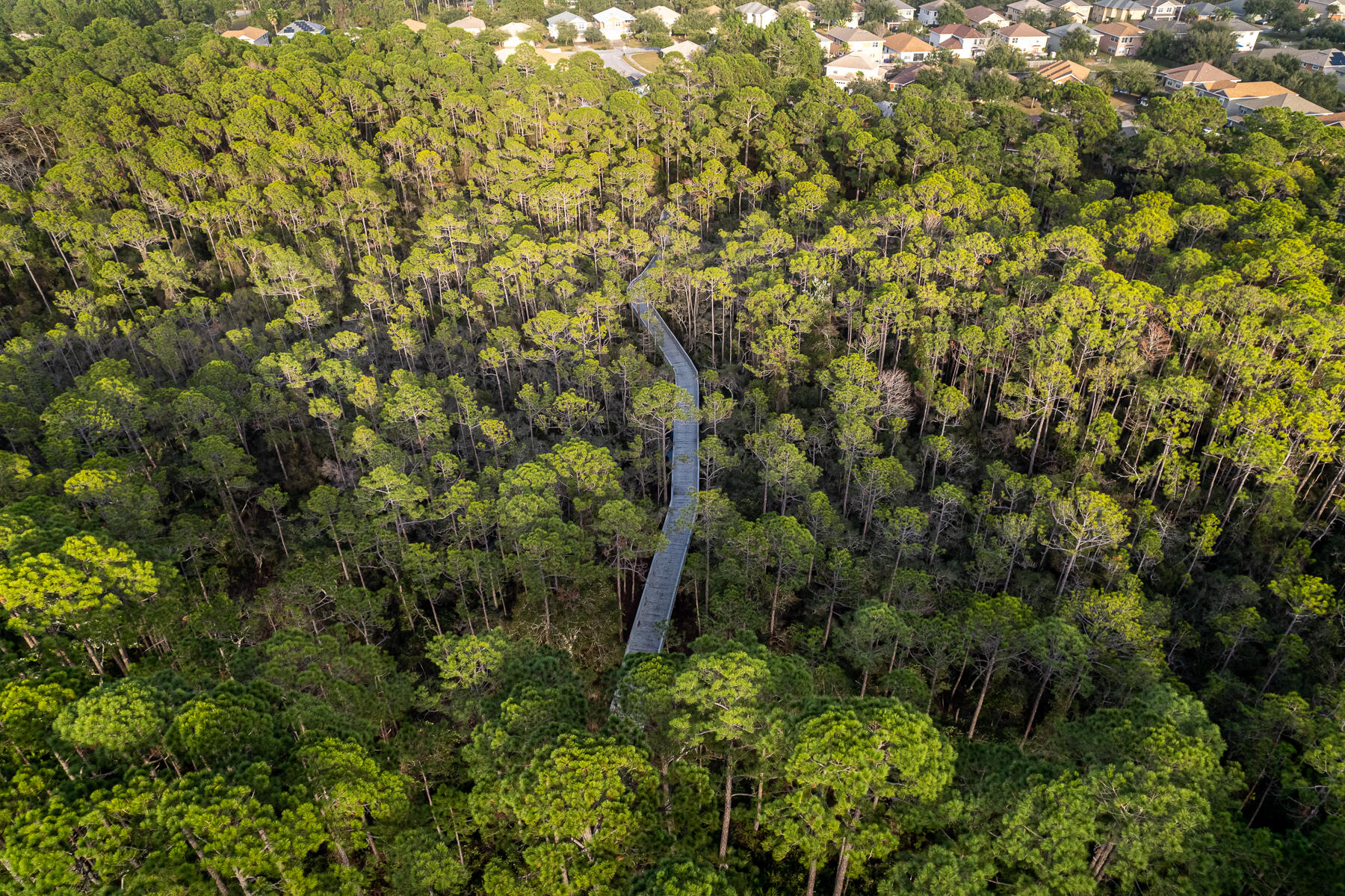 DRIFTWOOD ESTATES - Residential